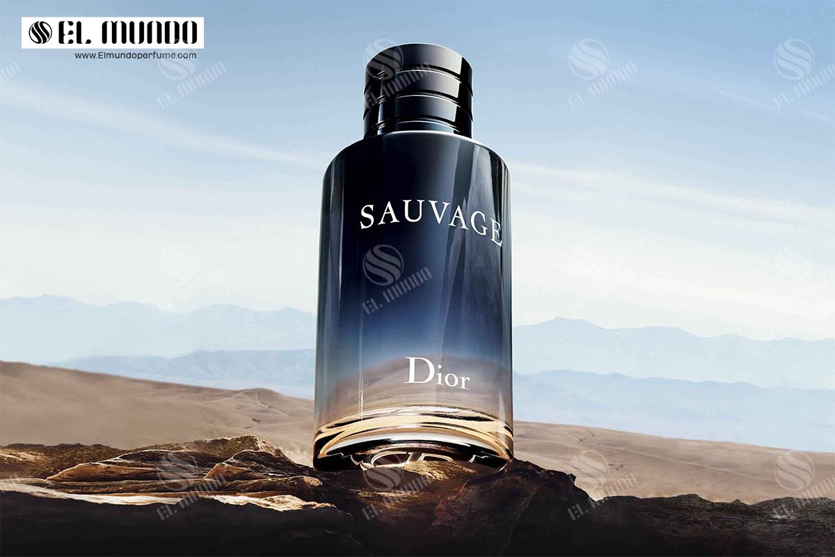 dior - عطر ادکلن مردانه دیور ساواژ ادوپرفیوم ۱۰۰ میل Sauvage Dior