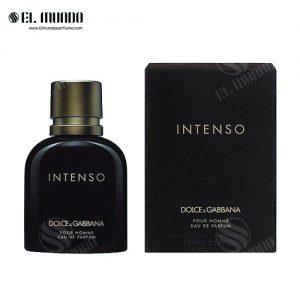 Dolce And Gabbana Intenso Eau De Parfum For Men 300x300 - تست