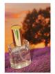 Fragrance Vitelli Perfumes Fiamme di Passion - پرتقال