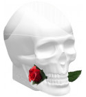 Ed Hardy Skulls Roses for Her Christian Audigier for women - آدرینا مدینا بایز