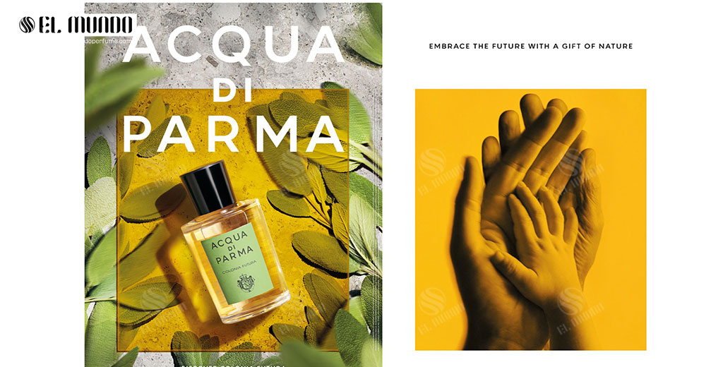 Colonia Futura Acqua di Parma for women and men 3 - عطر کولونیا فوتورا از برند آکوا دی پارما 2020