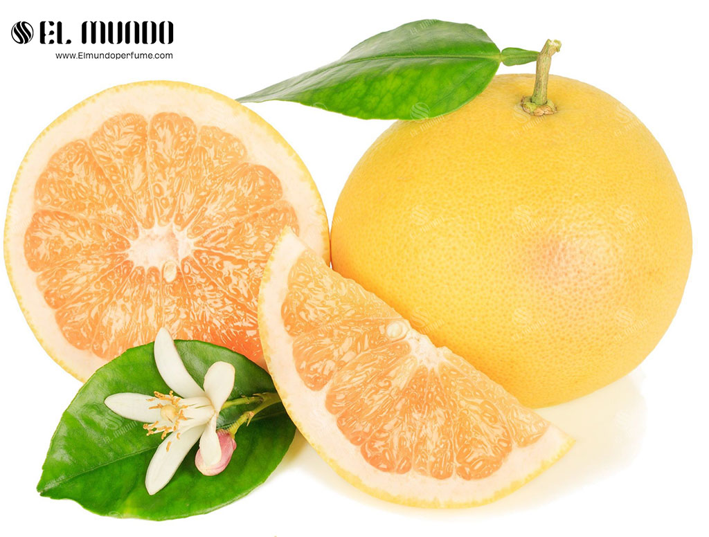Grapefruit 2 - رایحه گریپ‌فروت: میوه ممنوع از بارادوس
