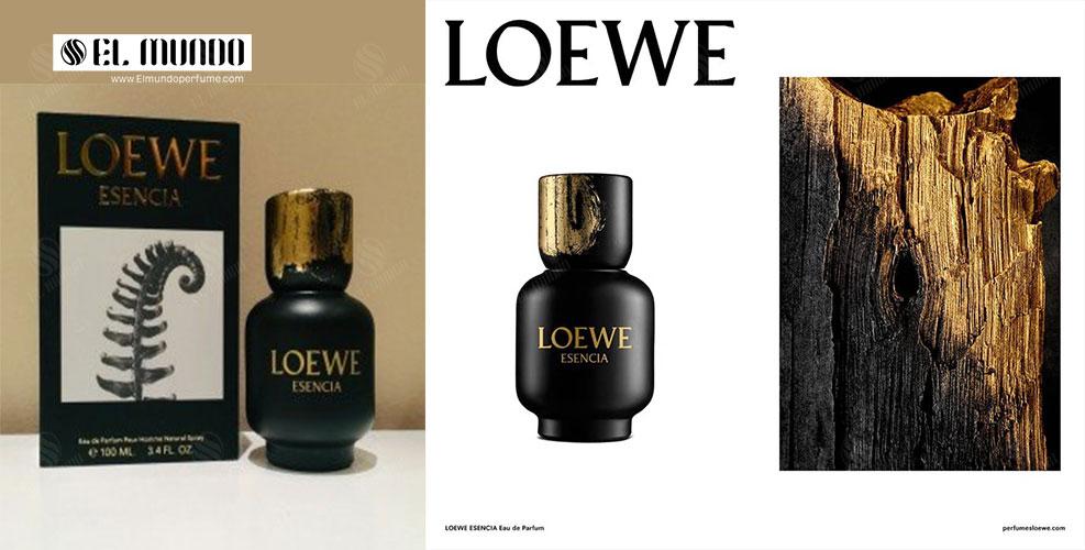 Esencia pour Homme Eau de Parfum Loewe for men 100ml 1 - عطر ادکلن مردانه لوئو-لوئوه اسنسیا پور هوم ادوپرفیوم ۱۰۰ میل Esencia pour Homme Eau de Parfum Loewe