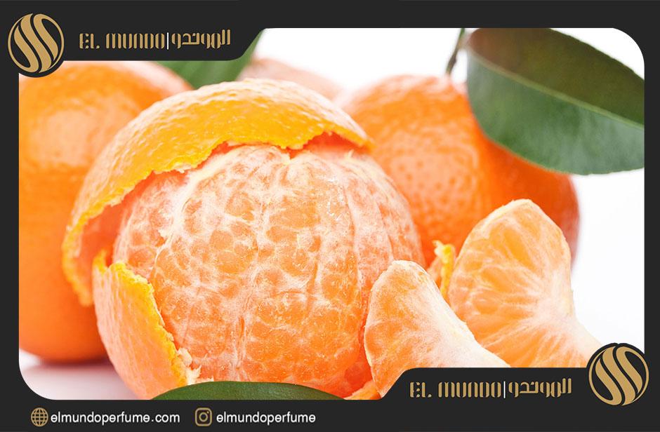 Sweet citruses of Voce Viva Valentino Chloe Rose Tangerine 2 - عطر  جدید زنانه کلویی رز و والنتینو ووس ویوا