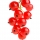 Red Currant - نت ها