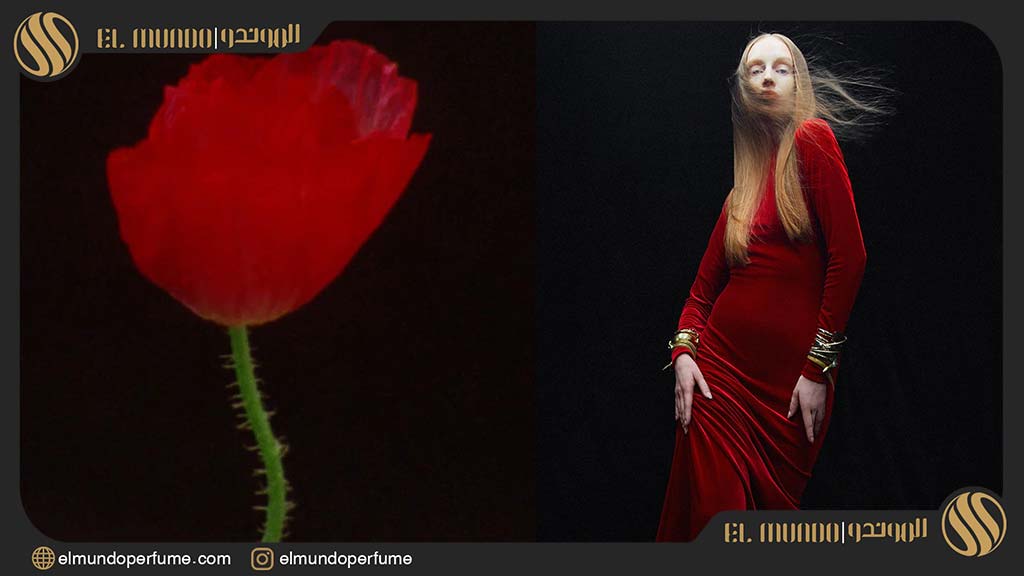 Scarlet Poppy Intense Jo Malone London for women and men 2 - عطر ادکلن اسکارلت پاپی کولون اینتنس نسخه 2020
