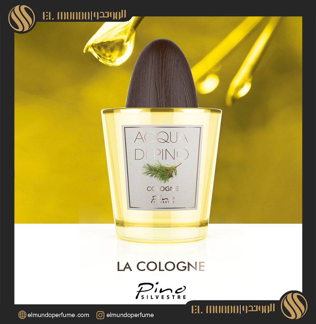 Acqua di Pino Cologne Pino Silvestre for men 1 - عطر مردانه پینو سیلوستره آکوا دی پینو کلن