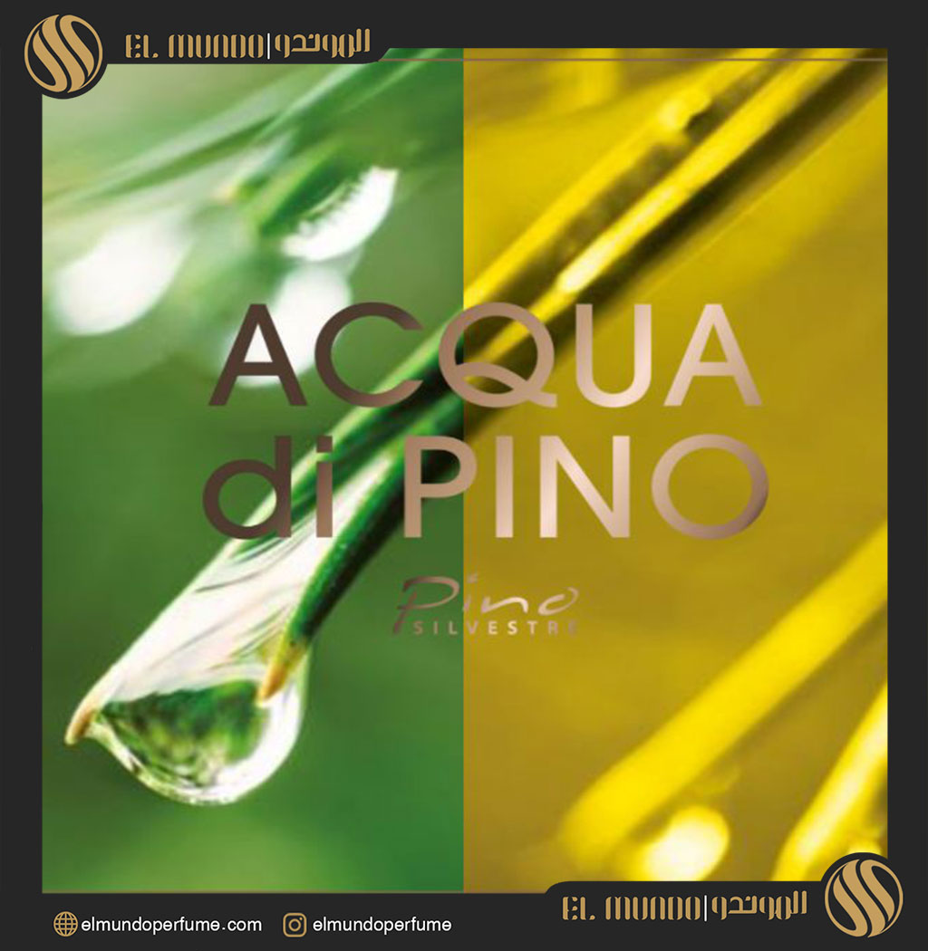 Acqua di Pino Cologne Pino Silvestre for men 2 - عطر مردانه پینو سیلوستره آکوا دی پینو کلن
