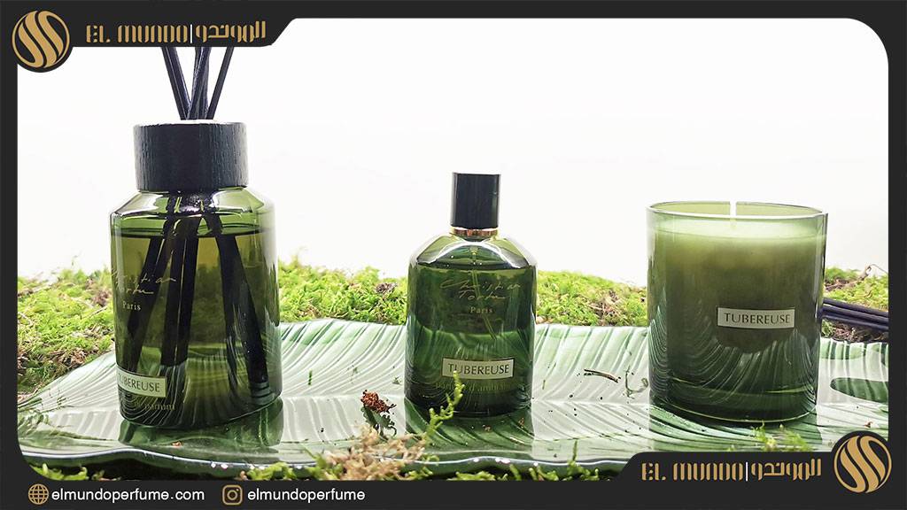 Fragranze 2021 – For Your Home and for Yourself 3 - عطر فرگرنز 2021