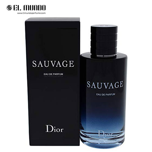 Sauvage Dior for men 200ml 4 - برند دیور