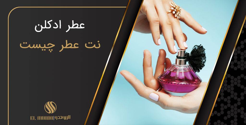 not perfume - سه نت عطر و اهمیت هرم بویایی را درک کنید