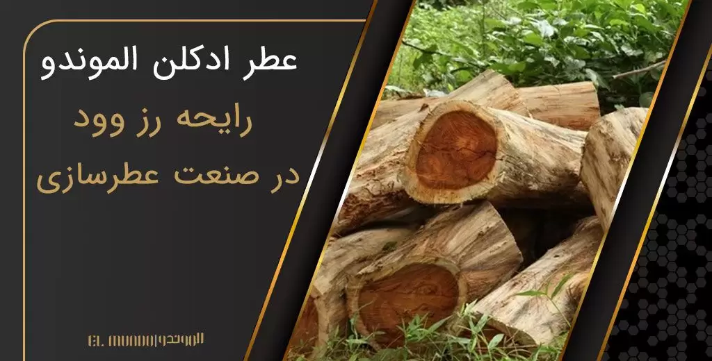 Rosewood perfume - وتیور، ظرافت چوبی طبیعی در عطرها
