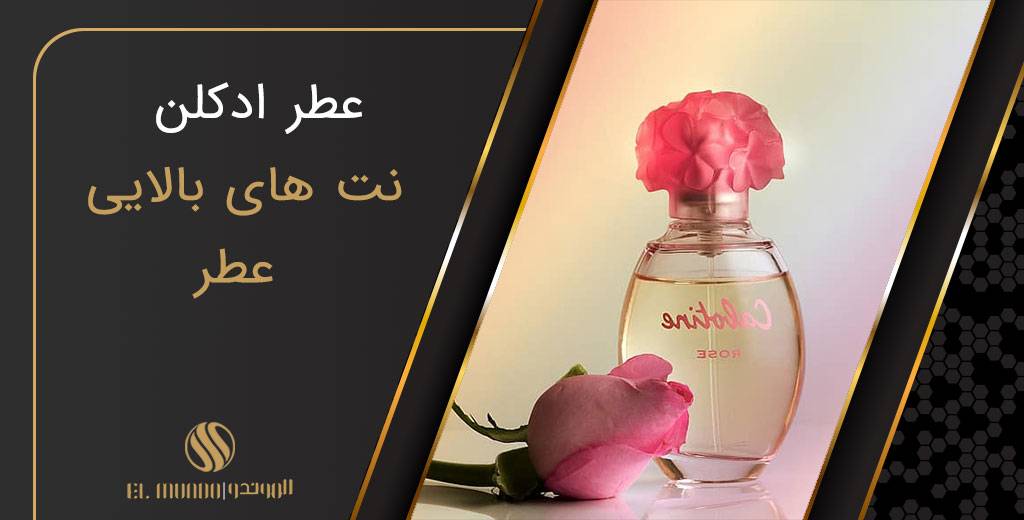 top notes perfume - سه نت عطر و اهمیت هرم بویایی را درک کنید