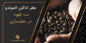 A drop of coffee in your perfume 300x152 - تفسیر اشعار مولانا