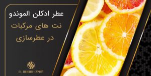 The citrus olfactory family and the Golden Apples 300x152 - تفسیر اشعار مولانا