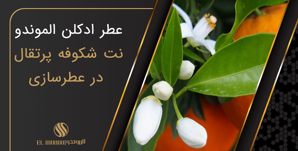 The orange blossom adored and perfumed - یلانگ یلانگ، عطر حسی