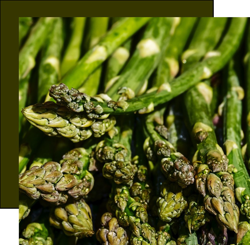 asparagus - استفاده از سبزیجات در عطرسازی
