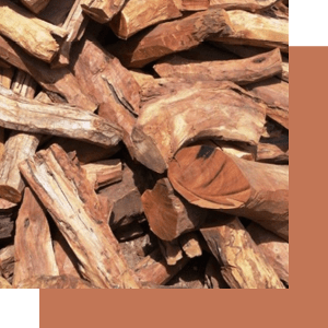 sandalwood - نت های چوبی  پیاده روی معطر