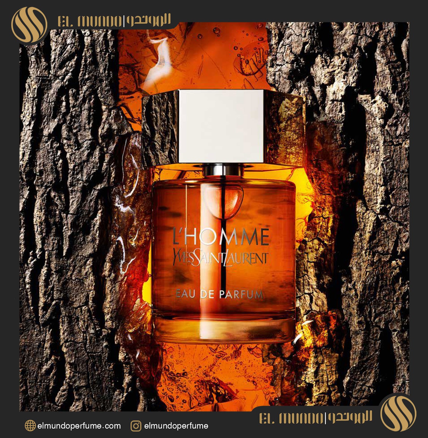 LHomme Eau de Parfum Yves Saint Laurent for men 2 - ادو پرفیوم مردانه ايو سنت لورنت له هوم
